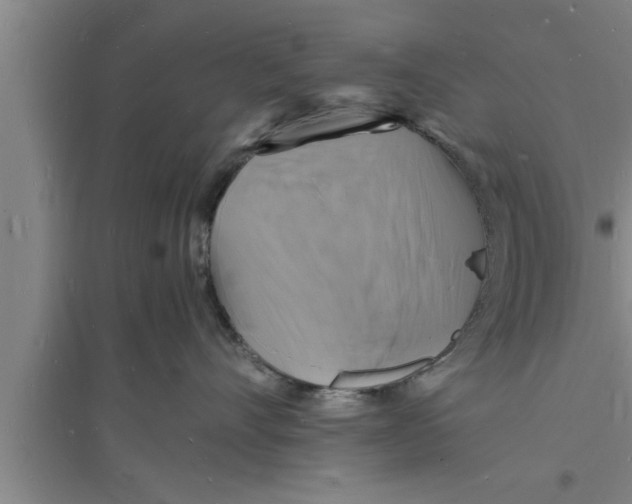 X0000094060528200711161527