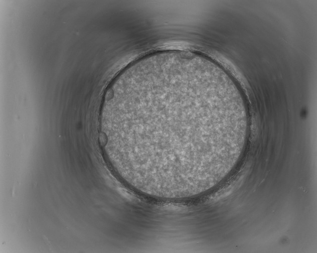 X0000094060529200711161526