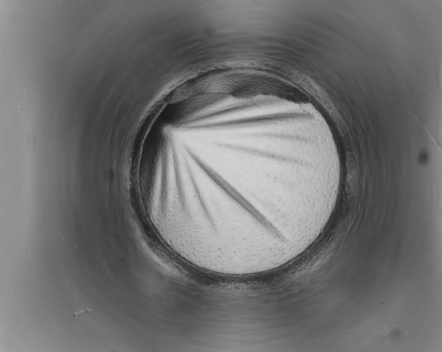 X0000094060530200711161526