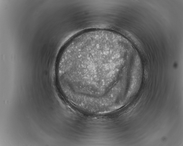 X0000094060532200711161526