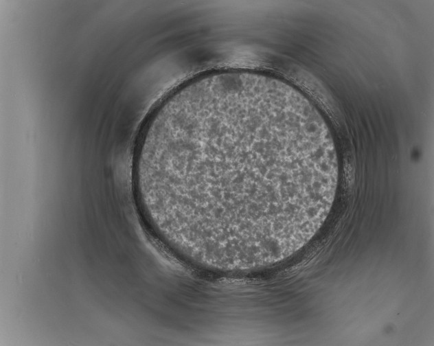 X0000094060534200711161526