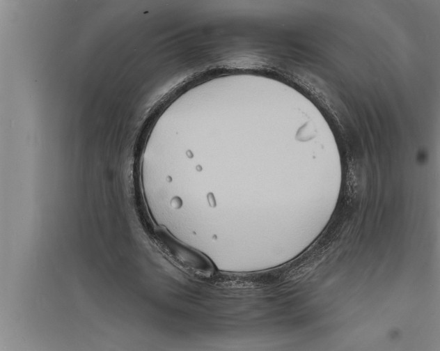 X0000094060535200711161526