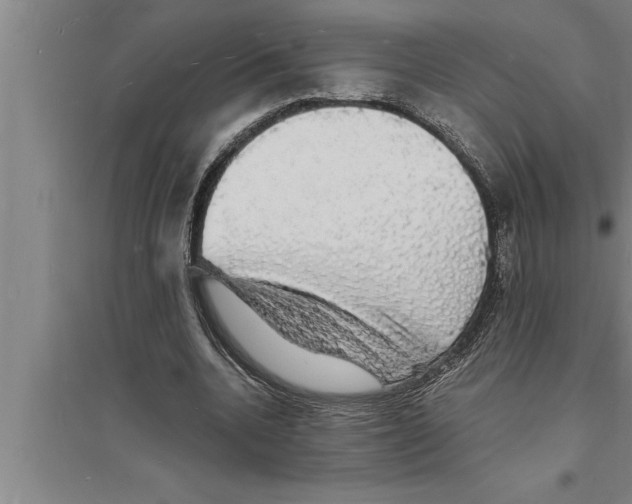 X0000094060536200711161526