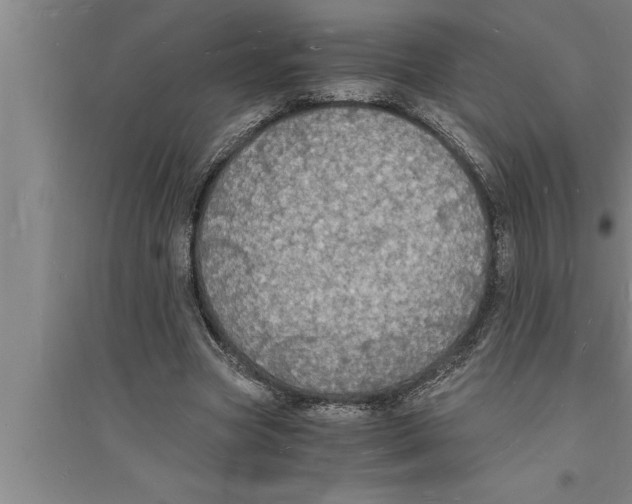 X0000094060537200711161526