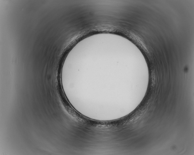 X0000094060538200711161526