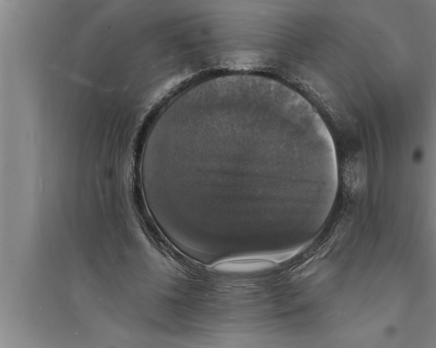 X0000094060540200711161526