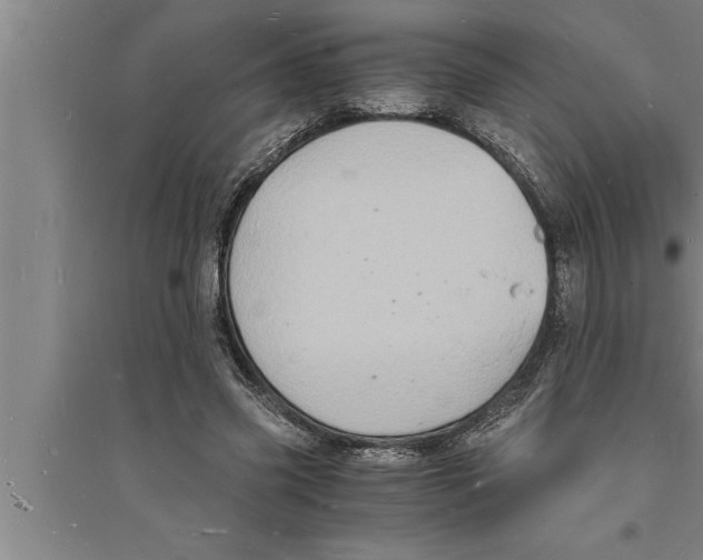 X0000094060541200711161526