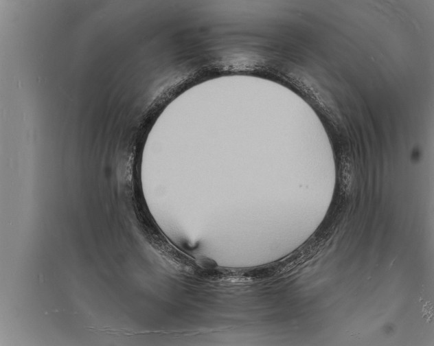 X0000094060543200711161527