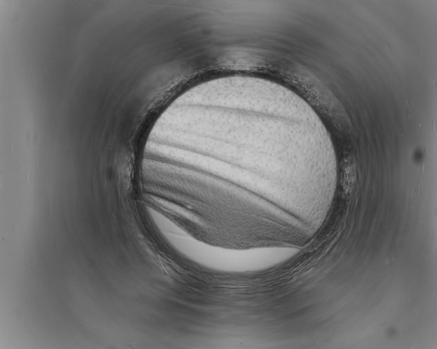 X0000094060544200711161527