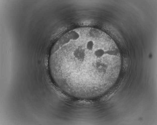 X0000094060545200711161527