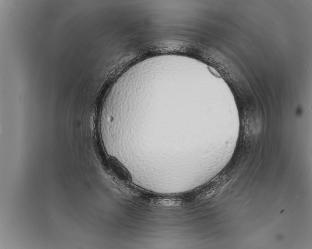 X0000094060546200711161527