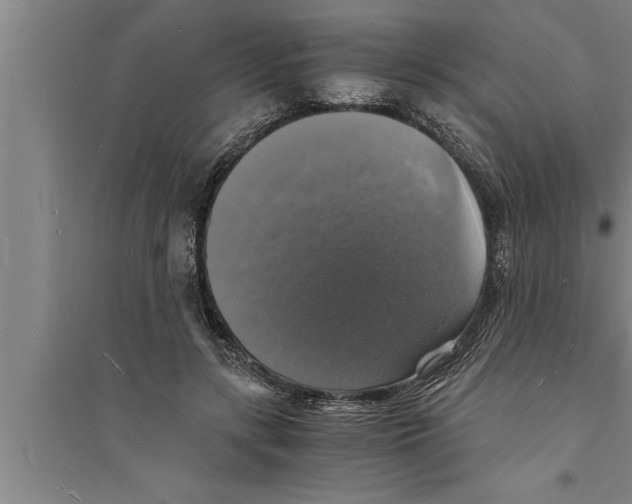 X0000094060547200711161527