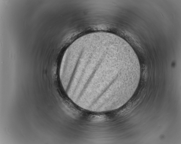 X0000094060548200711161527