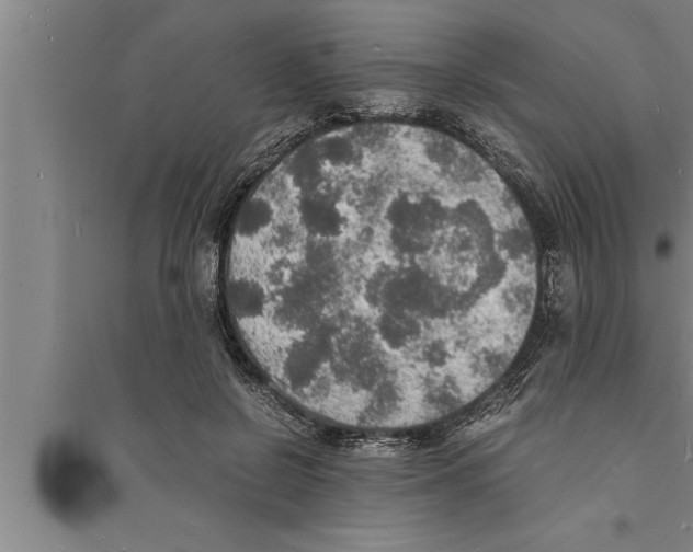 X0000094060550200711161527