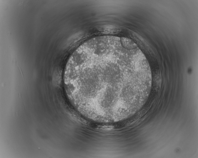 X0000094060554200711161527