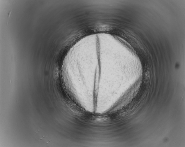 X0000094060555200711161527