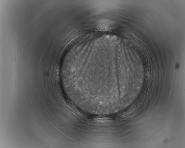 X0000094060556200711161527