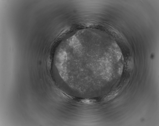 X0000094060558200711161527