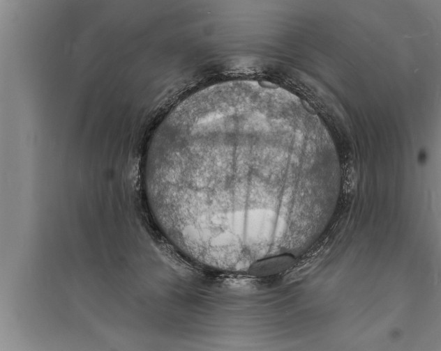 X0000094060560200711161527