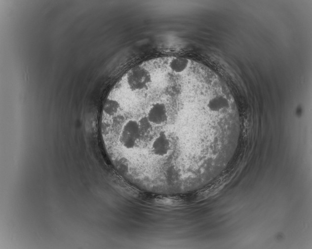 X0000094060561200711161527