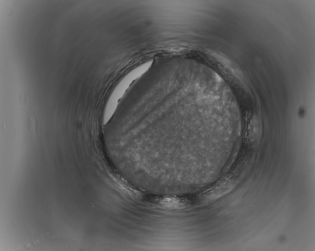 X0000094060562200711161527