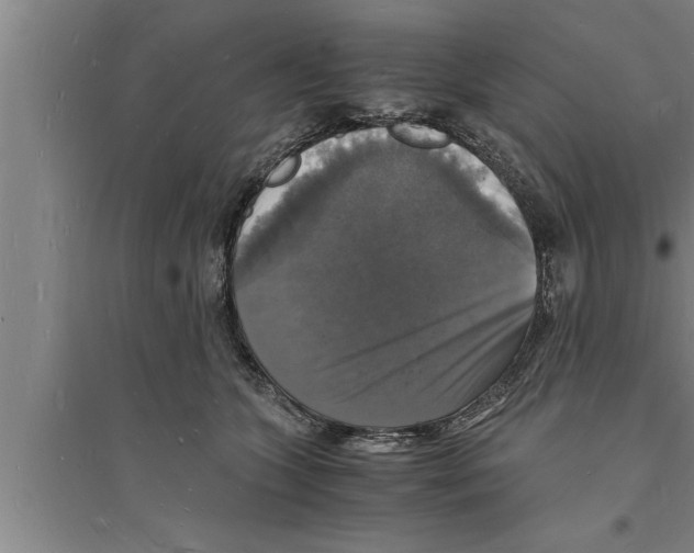 X0000094060563200711161527