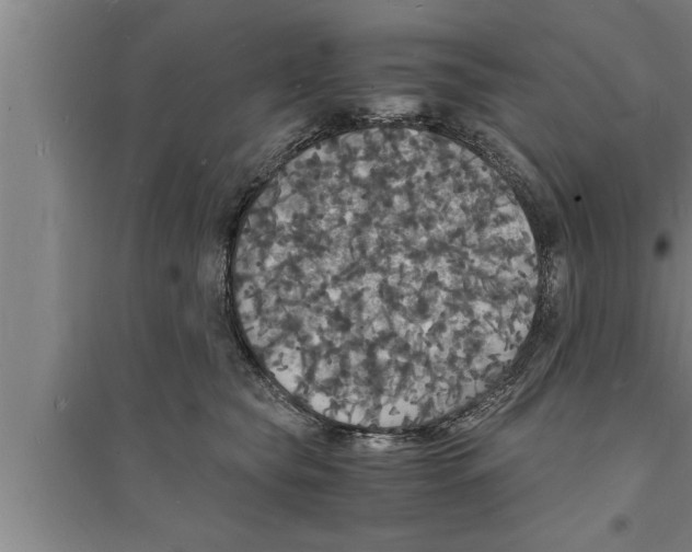 X0000094060565200711161527