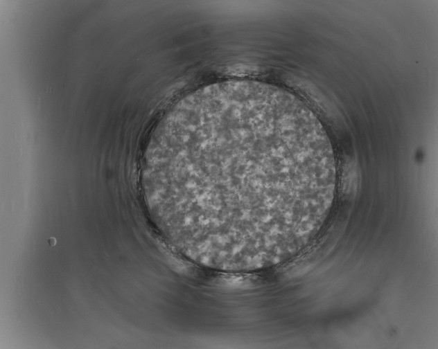 X0000094060569200711161527