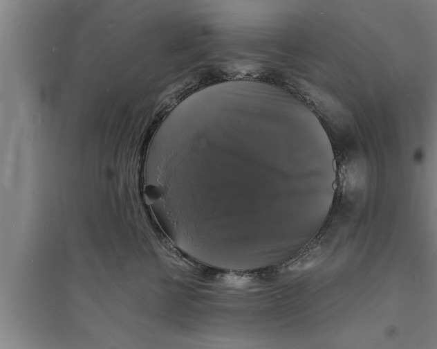 X0000094060570200711161527