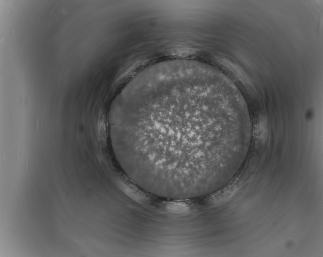 X0000094060572200711161527