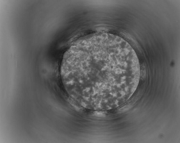 X0000094060573200711161527