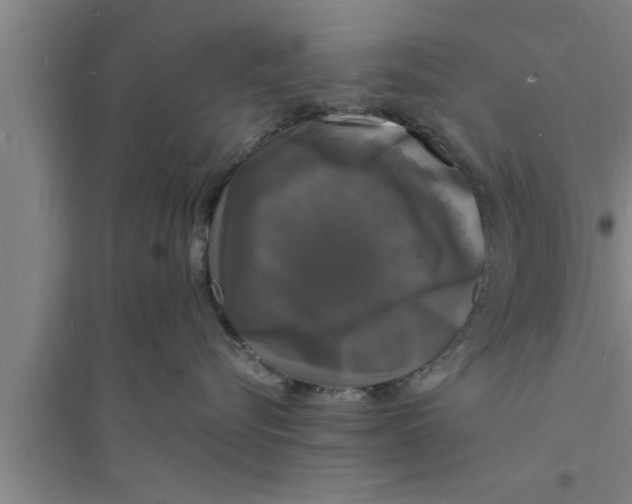 X0000094060576200711161527