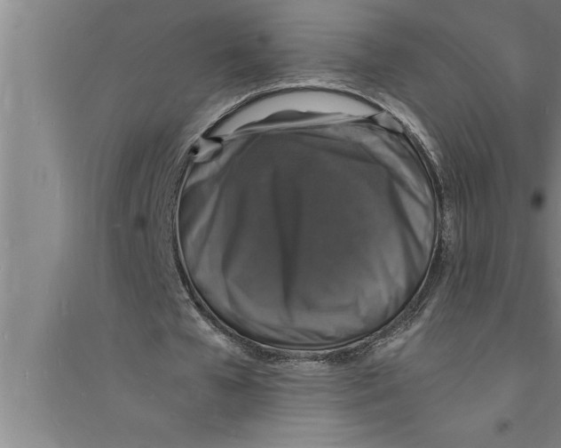 X0000094060577200711161526