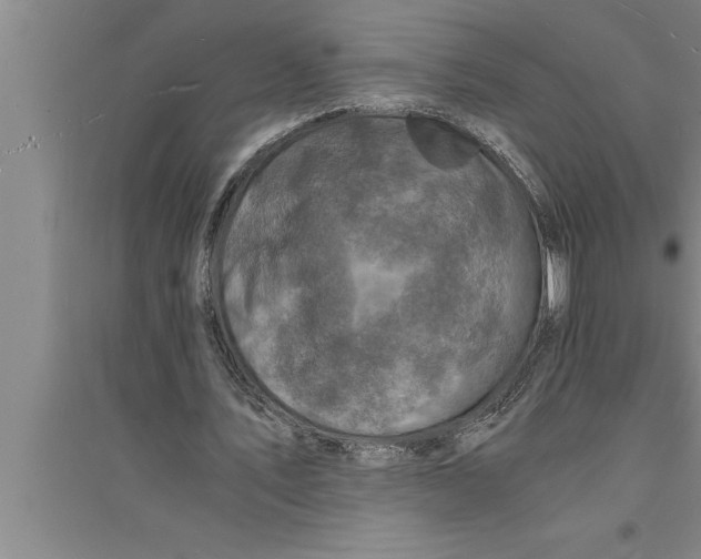 X0000094060579200711161526