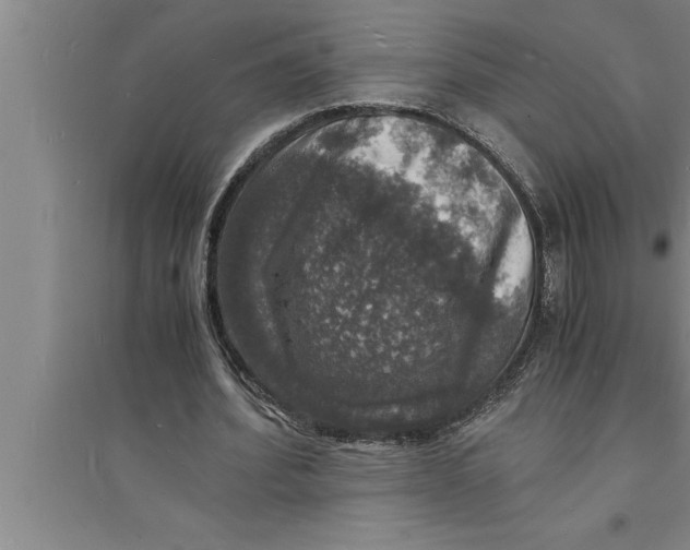 X0000094060580200711161526