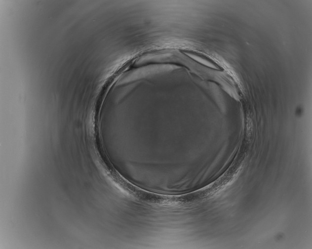 X0000094060581200711161526