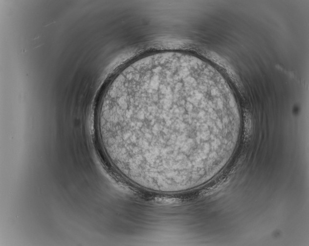 X0000094060582200711161526