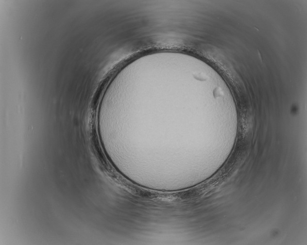 X0000094060583200711161526