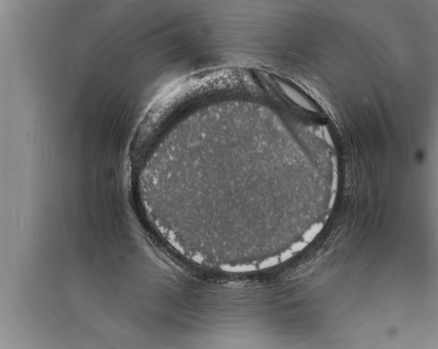 X0000094060584200711161526