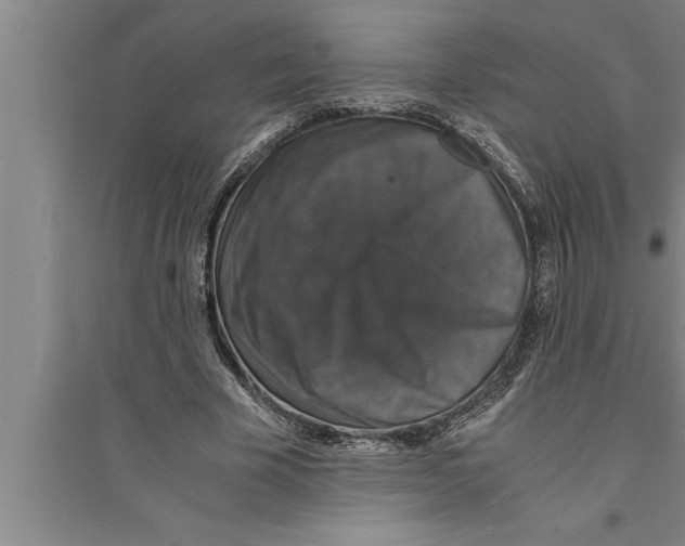 X0000094060585200711161526