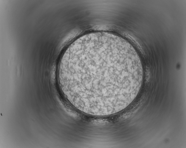 X0000094060586200711161526