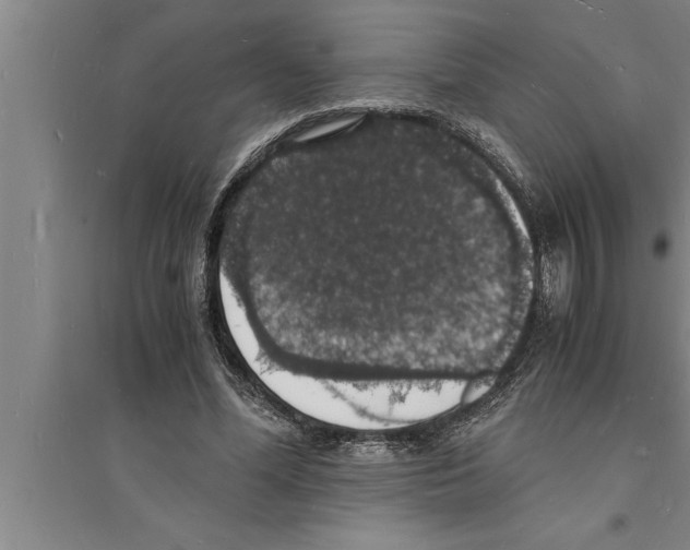 X0000094060588200711161526