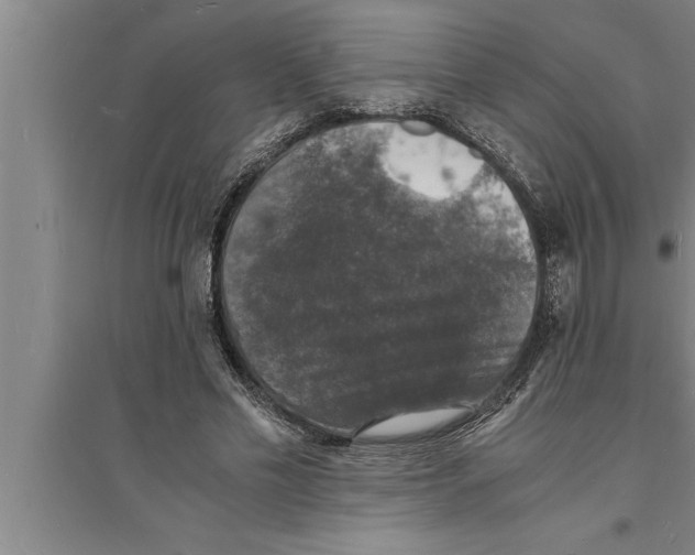 X0000094060589200711161526