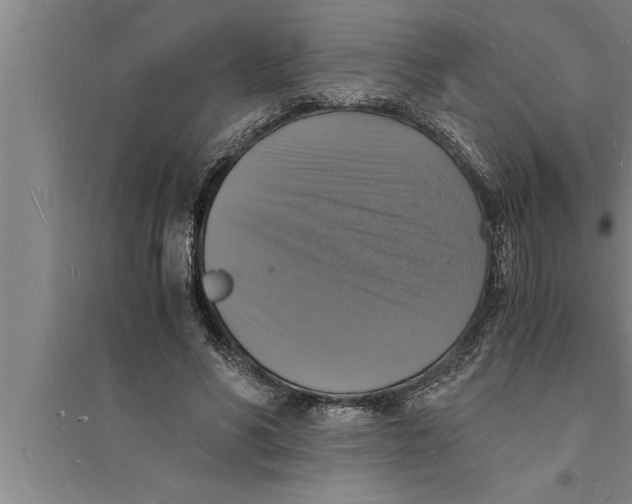 X0000094060590200711161526