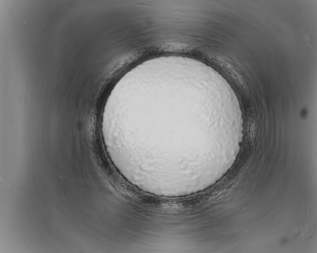 X0000094060591200711161526