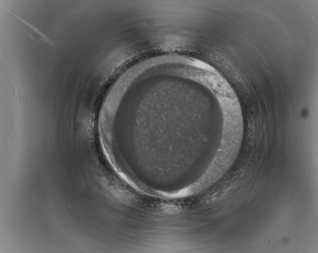 X0000094060592200711161526