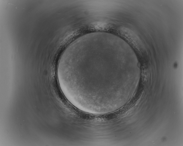 X0000094060593200711161526