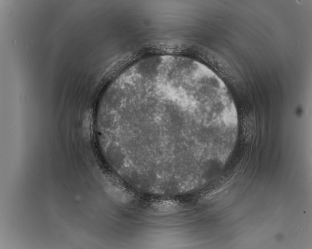 X0000094060594200711161526