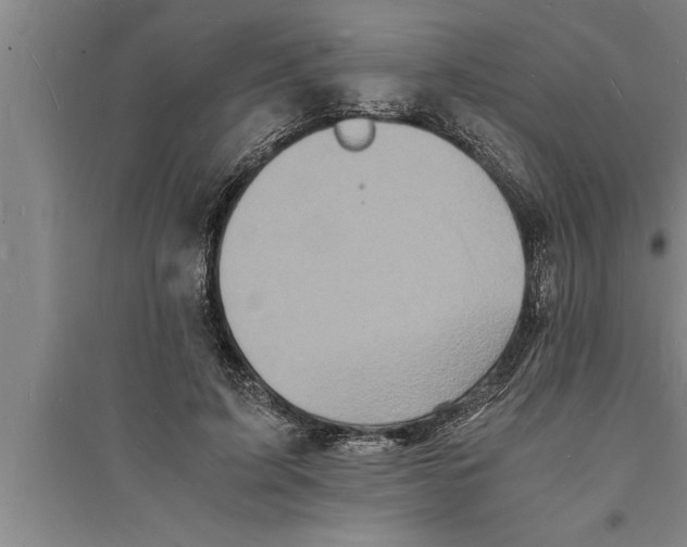 X0000094060595200711161526