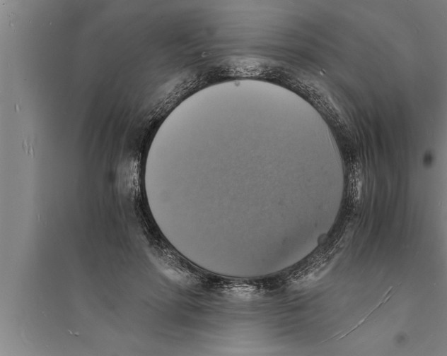 X0000094060598200711161526